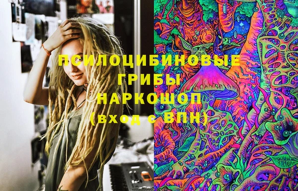 эйфоретик Надым