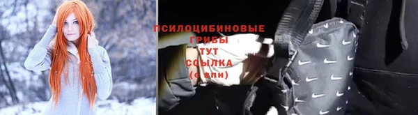 кокс Нея