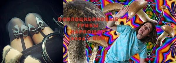 кокс Нея
