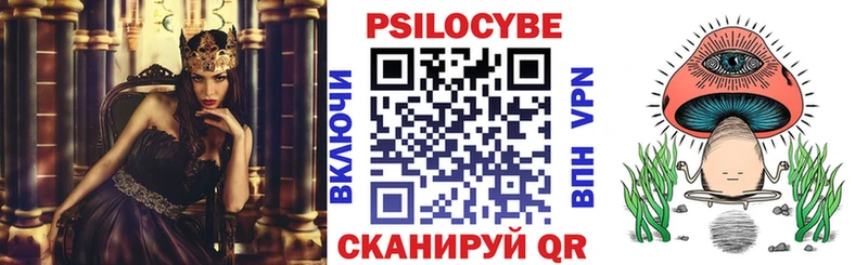 Галлюциногенные грибы прущие грибы  закладки  MEGA   Талдом 
