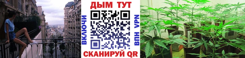 МАРИХУАНА сатива  хочу наркоту  Талдом 